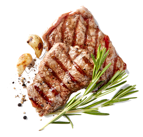 Productos Aditivos Carnes